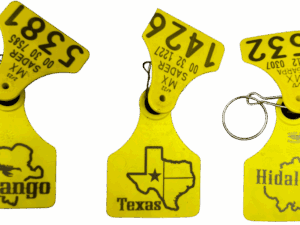 Llav. Arete Liso Personalizado JA 310095