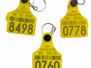 Llav. Arete Vacuno Liso JA 310130