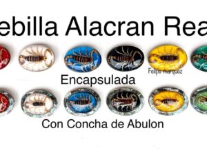 Hebi. Alacran Abulon o Cápsula HEL 309010